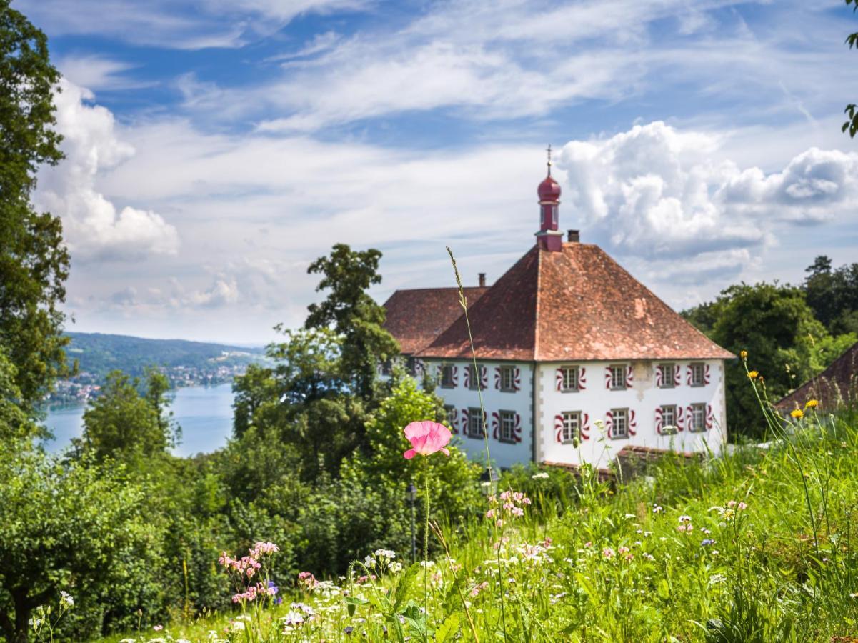 Schloss Freudenfels Eschenz Екстериор снимка