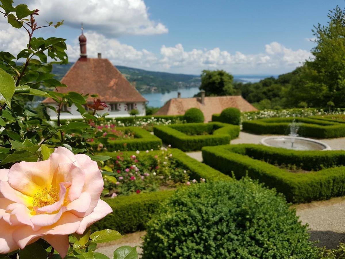 Schloss Freudenfels Eschenz Екстериор снимка